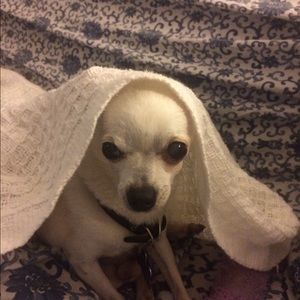 Meet your Posher, Darlene